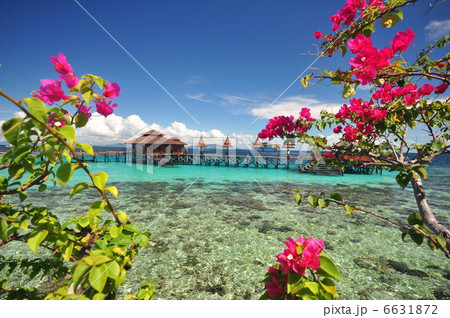 水上コテージ 水上コテージ 6631872