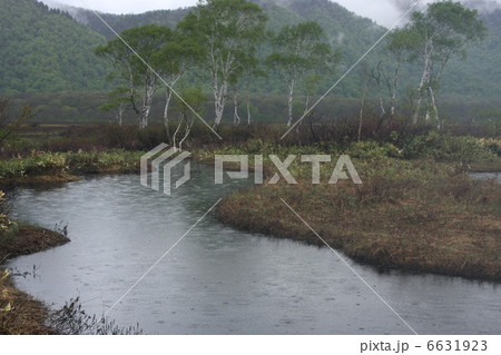 尾瀬ヶ原 6631923