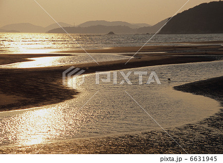 新舞子浜 新舞子浜 6631945