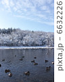 湖とカモ 6632226