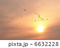渡り鳥と夕日 6632228