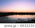 夕暮れの沼 6632230