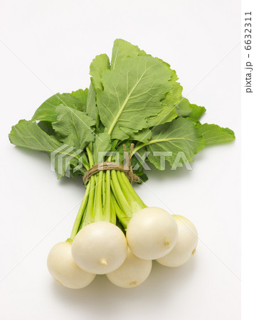 蕪 6632311