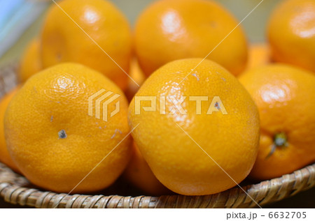 みかん 6632705
