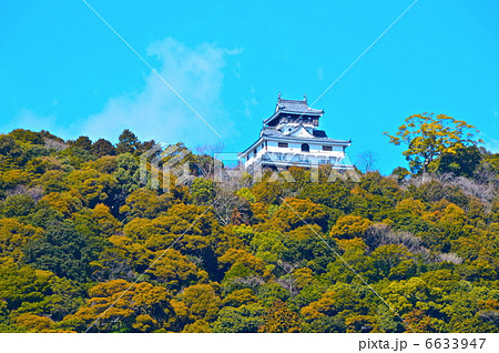 錦帯橋から見た「岩国城」（山口県岩国市横山） 6633947