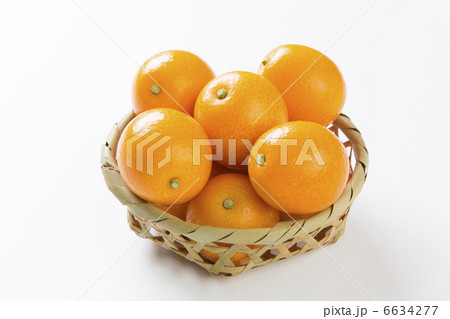 金柑 6634277