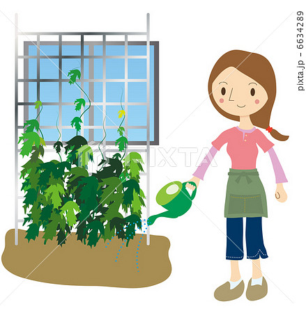 緑のカーテンに水やりをする女性のイラスト素材