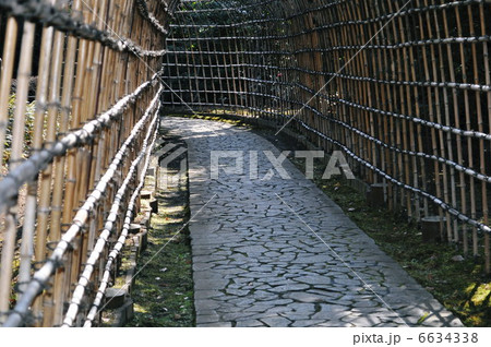 萩の道　冬の道 6634338