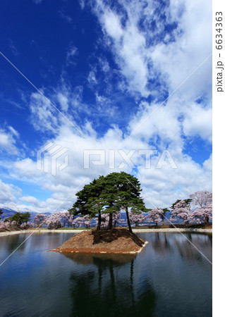 伊那市・六道の堤に咲くヒガンザクラ 6634363