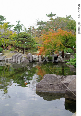 葉山しおさい公園(日本庭園) 葉山しおさい公園(日本庭園) 6634950
