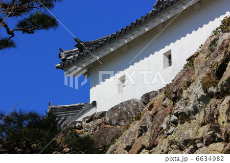 光り輝く早春の高知城　石垣と本丸　２月２０日撮影 6634982