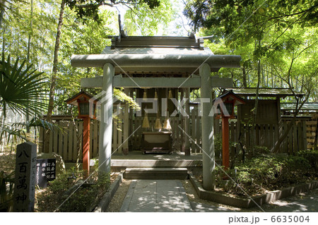 おのころ島神社摂社・八百萬神社 おのころ島神社摂社・八百萬神社 6635004
