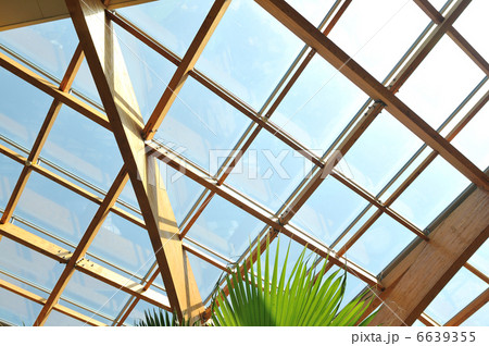 palm and wooden roof construction 6639355