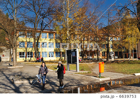 school school 6639753