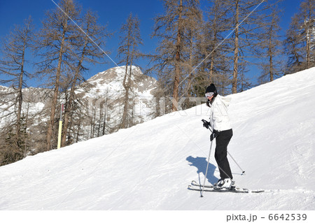 skiing on fresh snow at winter season at beautiful sunny day skiing on fresh snow at winter season at beautiful sunny day 6642539