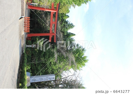 香取神宮　鳥居 6643277