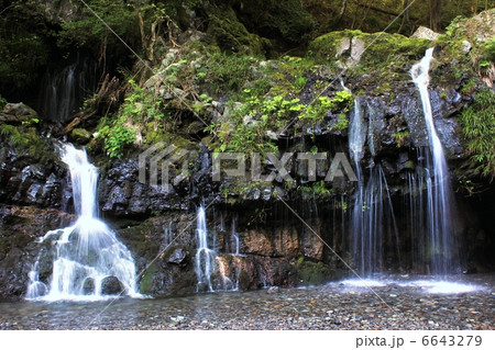 清涼感が溢れる陣馬の滝 6643279