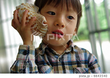 貝の音を聴く子供 貝の音を聴く子供 6643540