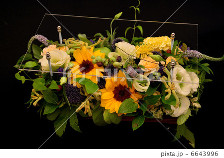 Summer under the table 6643996