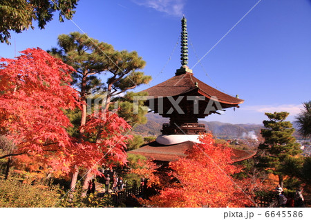常寂光寺 多宝塔の紅葉 常寂光寺 多宝塔の紅葉 6645586