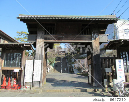池上本門寺　総門 6647250