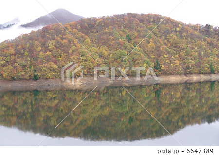 福井県 九頭竜湖の紅葉 の写真素材