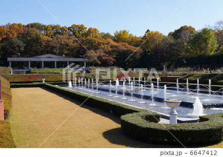 神代植物公園の噴水 斜めから 神代植物公園の噴水 斜めから 6647412