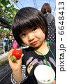 いちご狩り 6648413