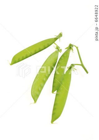 サヤエンドウ サヤエンドウ 6648922