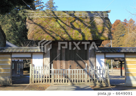 高田山専修寺　総門－高田にて 6649091