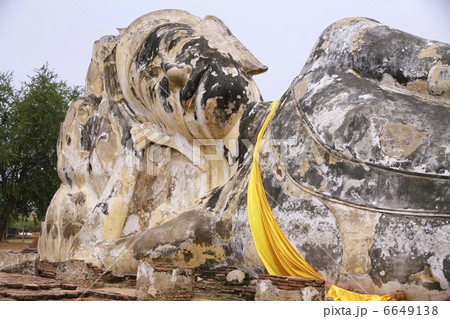 巨大な涅槃仏 6649138