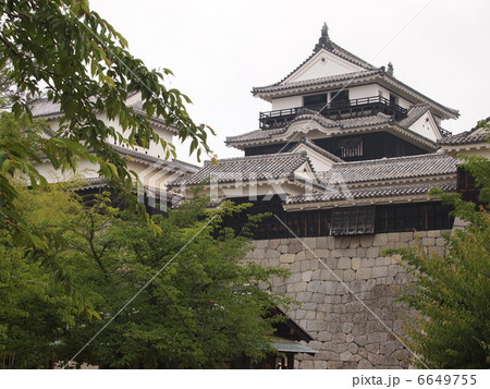 松山城 6649755
