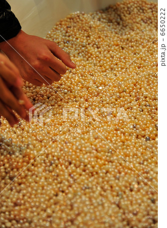 淡水真珠 6650222