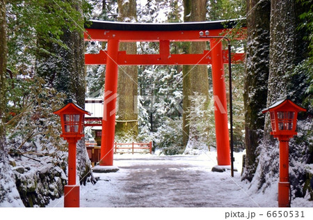 箱根神社第四鳥居 6650531