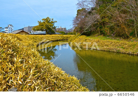 湯築城の内堀(道後公園/愛媛県松山市道後町) 湯築城の内堀(道後公園/愛媛県松山市道後町) 6650546