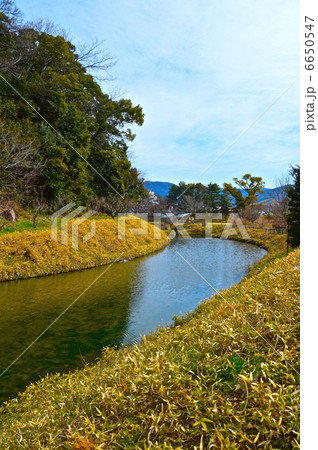 湯築城の内堀（道後公園／愛媛県松山市道後町） 6650547