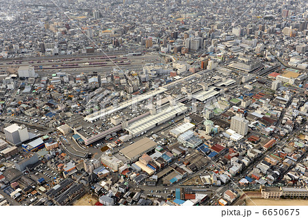 大阪市東部中央卸売市場を空撮 6650675