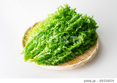 わさび菜 白バック 横(全体) わさび菜 白バック 横(全体) 6650854