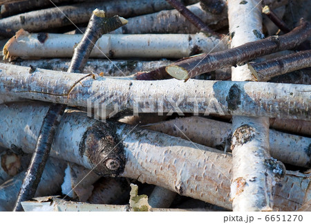 Birch fire wood Birch fire wood 6651270