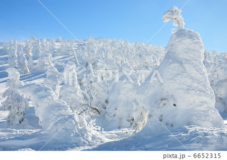 樹氷。山形・蔵王。２０１３年２月撮影 6652315