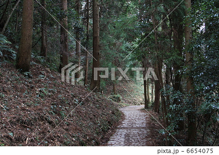 山の辺の道 6654075