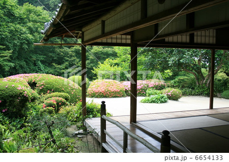 詩仙堂の庭 詩仙堂の庭 6654133