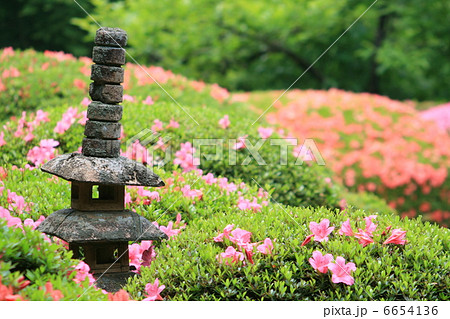 さつきと宝塔 6654136