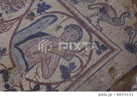 ウム・アル・ラサス遺跡　聖スティーブン教会モザイク画 6654151