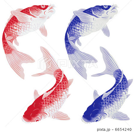 日本画調に鯉 6654240