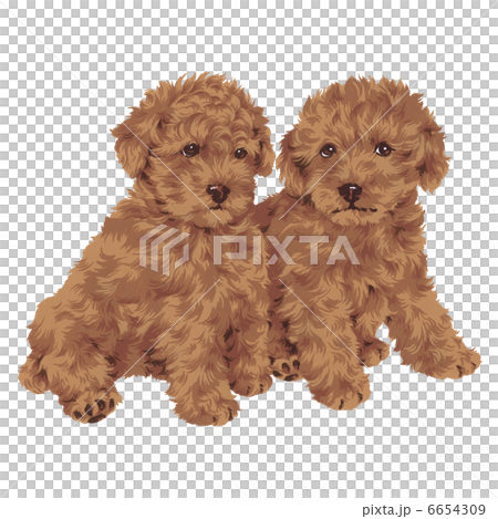 Dog 098 Dog 098 6654309