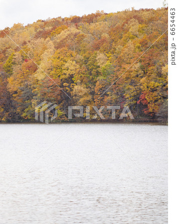 西岡公園 西岡公園 6654463