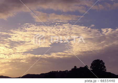 ひつじ雲 6655440