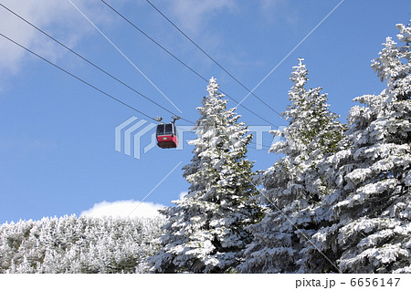 蔵王ロープウェー 6656147