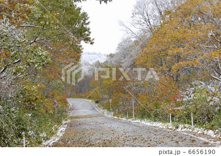 エコーライン 6656190